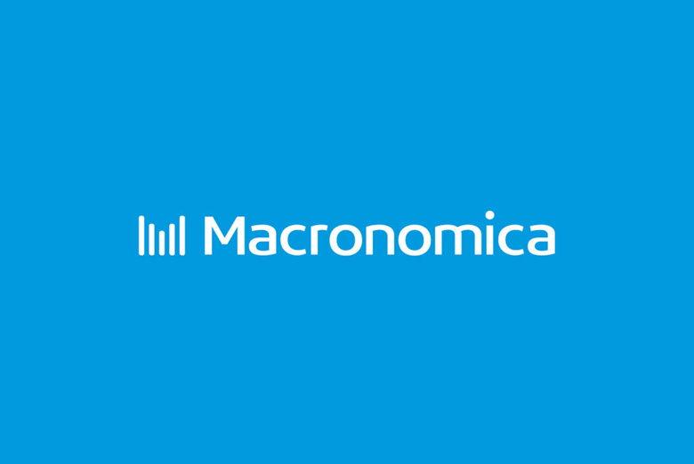 Создание бренда услуг, портала MACRONOMICA 