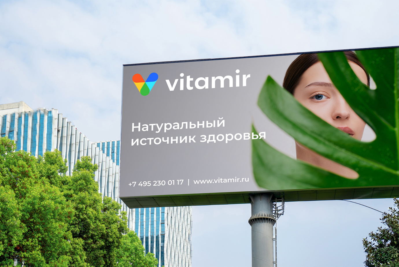 Создание визуальной концепции бренда Vitamir