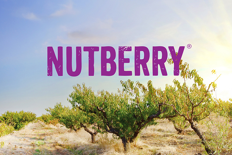 Разработка названия для ореховых снеков Nutberry 