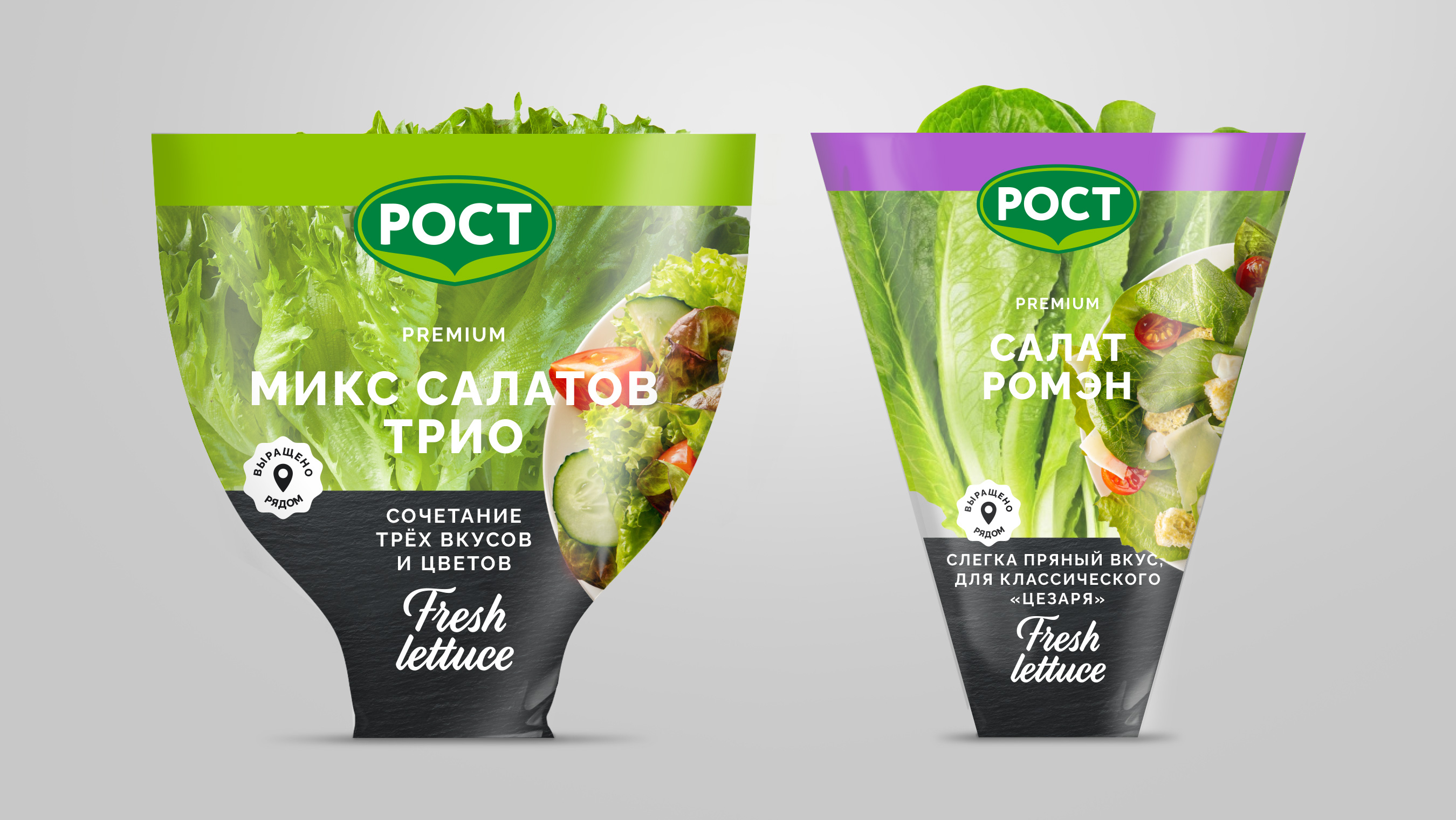 Дизайн упаковки салатов РОСТ