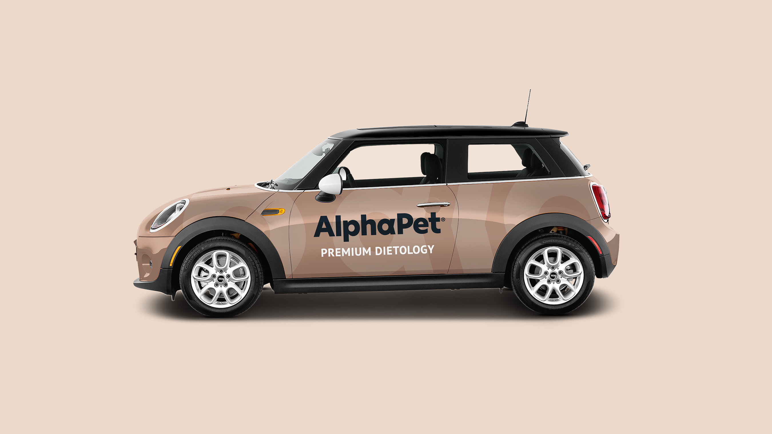 Реклама на авто бренда AlphaPet.
