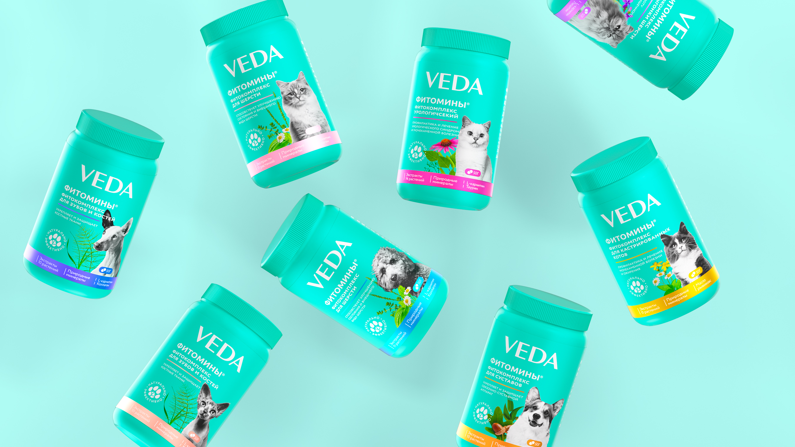 Дизайн упаковки VEDA