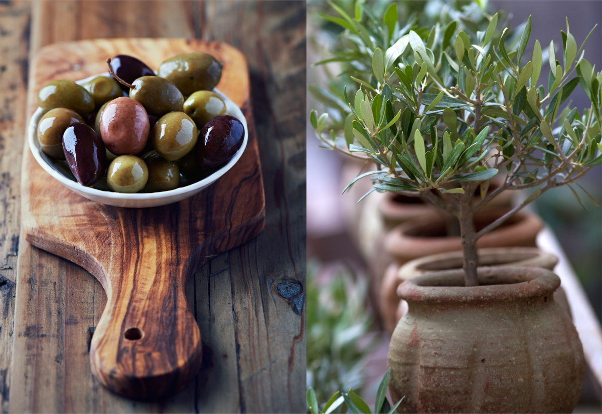 ELIAGORA бережно выращивает и собирает каждую оливку.