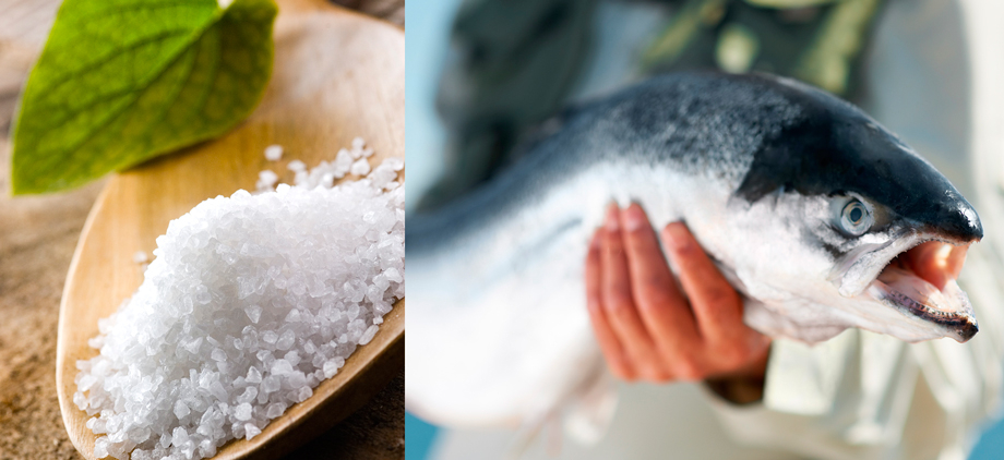 Единственный натуральный консервант в «Меридиан-Эко» — морская соль