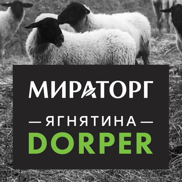Мираторг Dorper