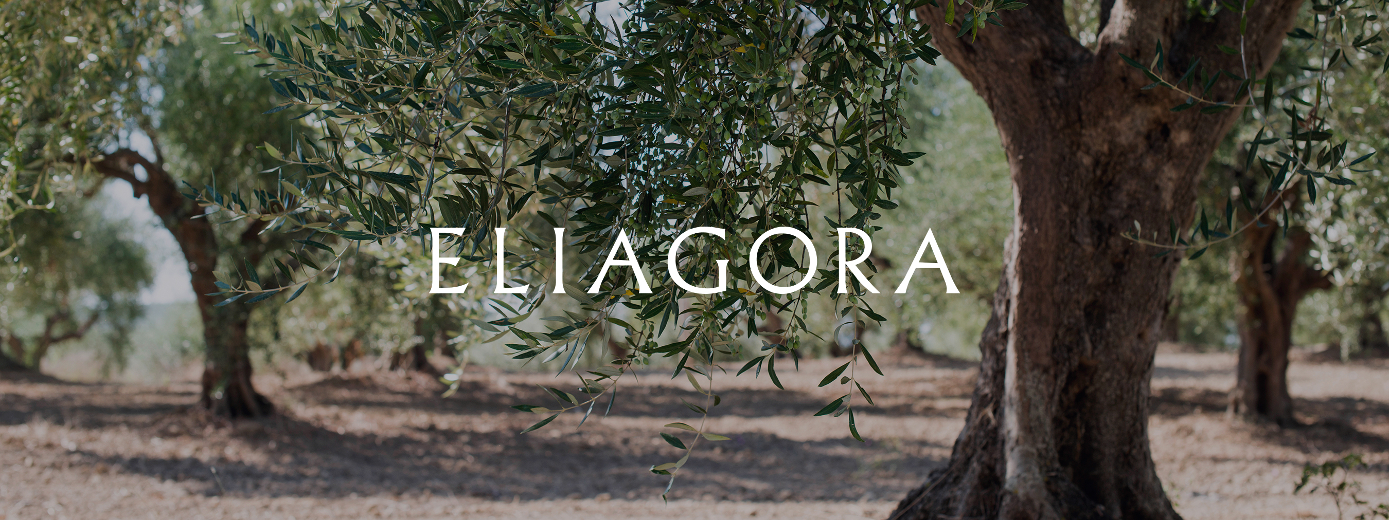 Разработка бренда Eliagora — греческого оливкового масла